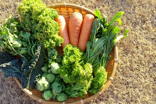 春野菜でデトックス